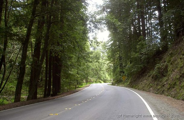 road1219l