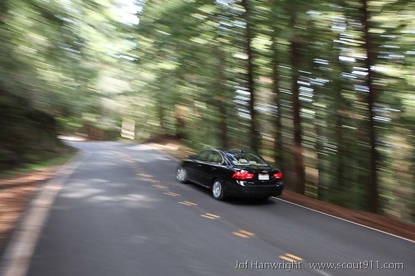 IMG 4398