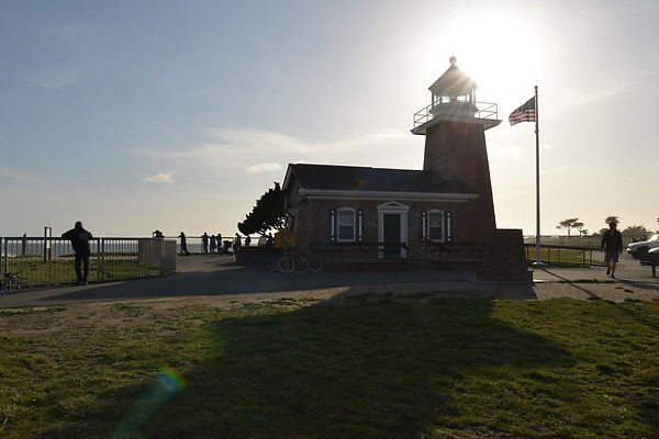 DSC 7919