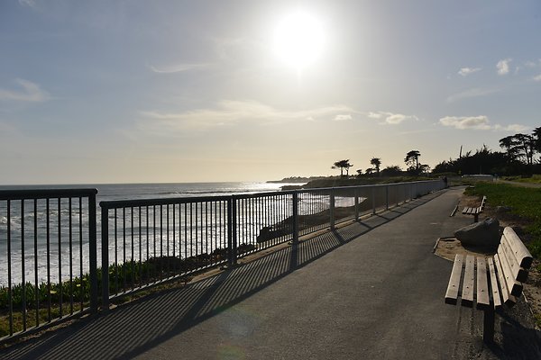 DSC 7890