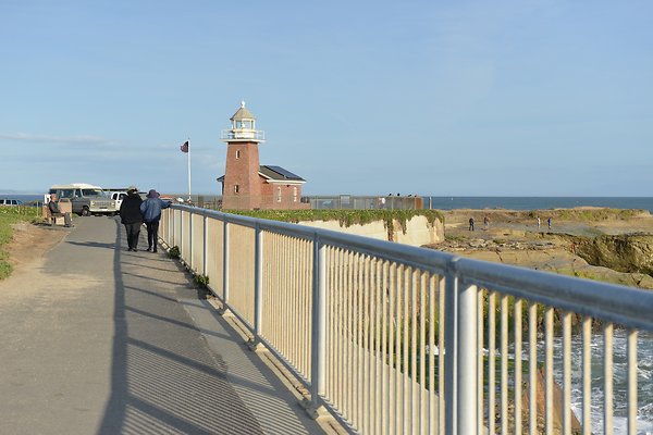 DSC 7960