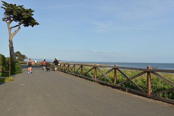 DSC 7981