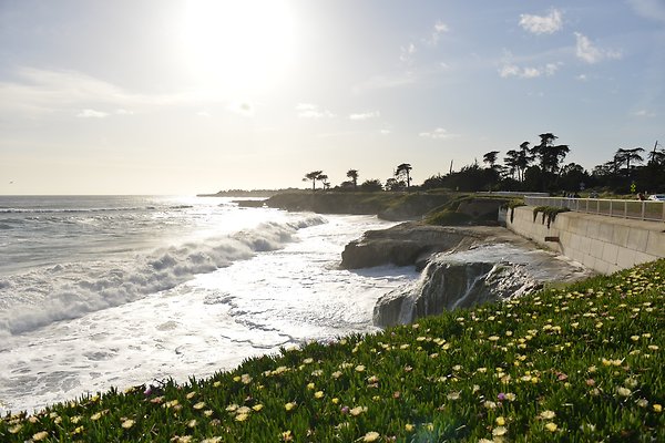 DSC 7903