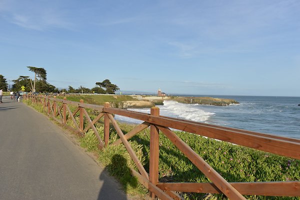 DSC 7972