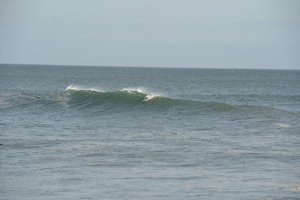 DSC 7925