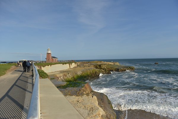 DSC 7959