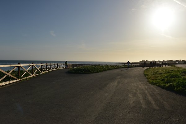 DSC 7980
