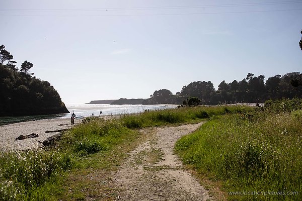 B66A5950