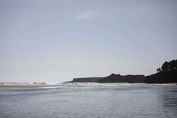 B66A5980
