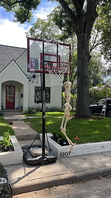 IMG 9134