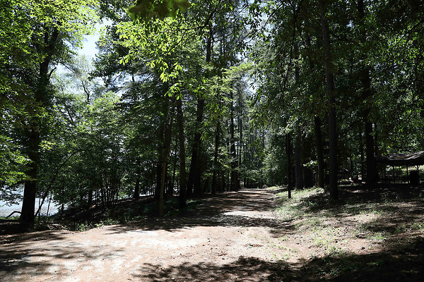 Murphey Candler Park 0029