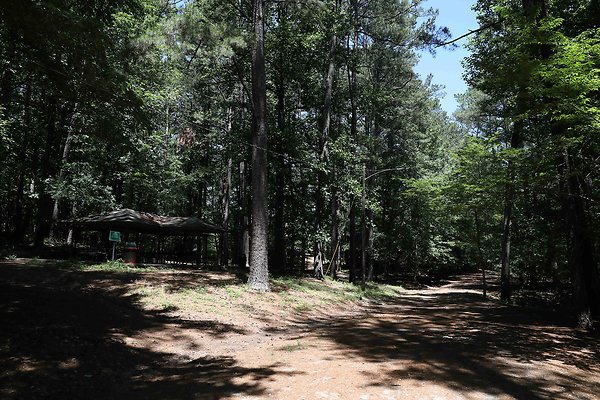 Murphey Candler Park 0019