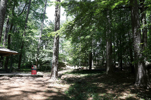 Murphey Candler Park 0027