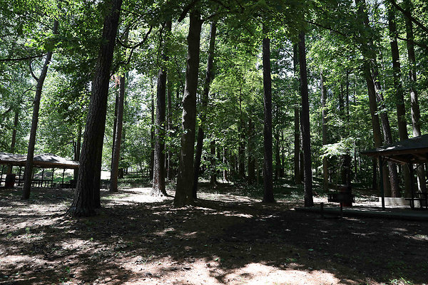 Murphey Candler Park 0028