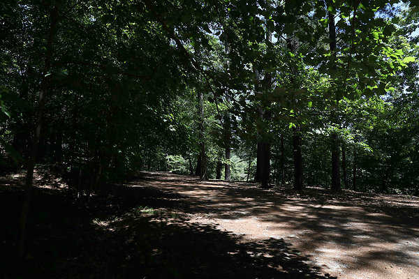 Murphey Candler Park 0030