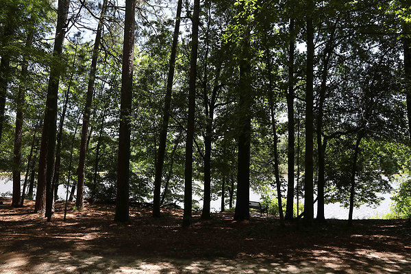Murphey Candler Park 0013
