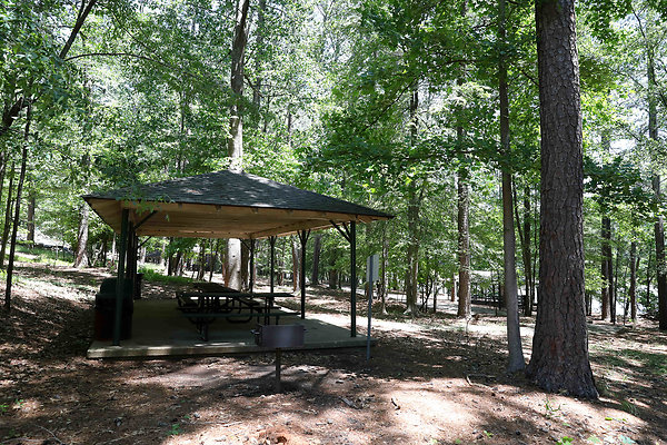 Murphey Candler Park 0010