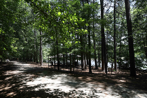 Murphey Candler Park 0015