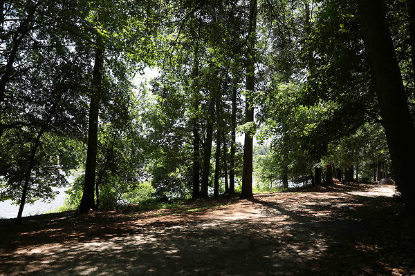 Murphey Candler Park 0014