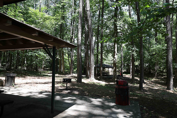 Murphey Candler Park 0022