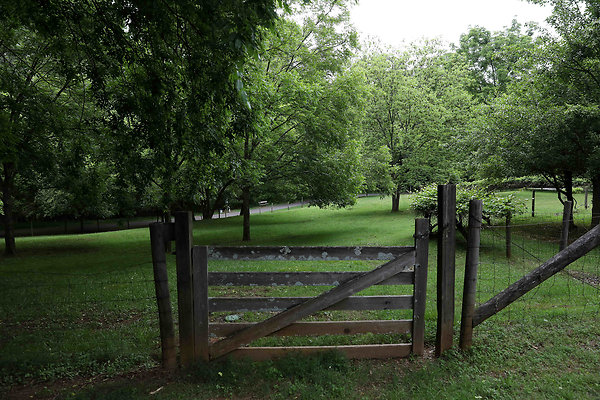McDaniel Farm Park 0034
