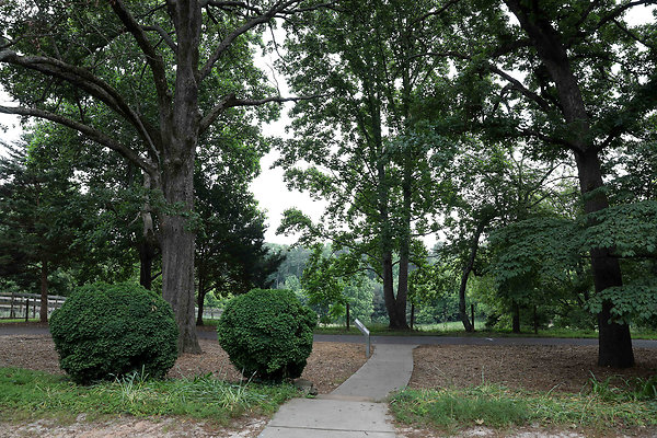 McDaniel Farm Park 0020