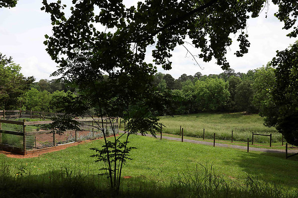 McDaniel Farm Park 0021