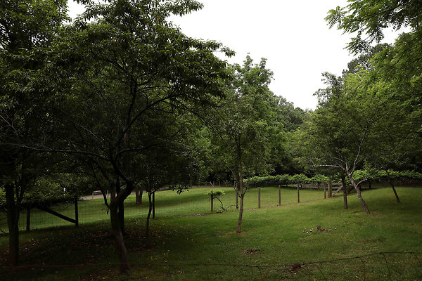 McDaniel Farm Park 0031