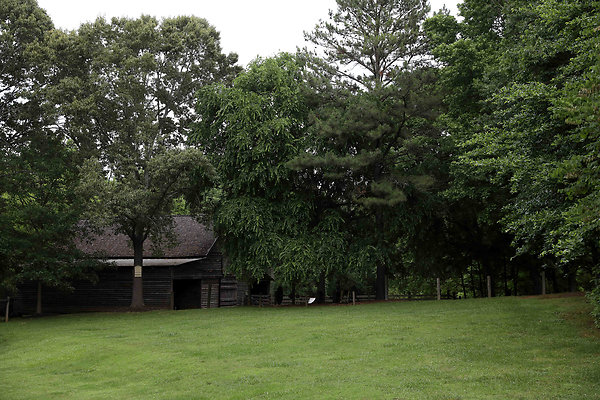 McDaniel Farm Park 0008