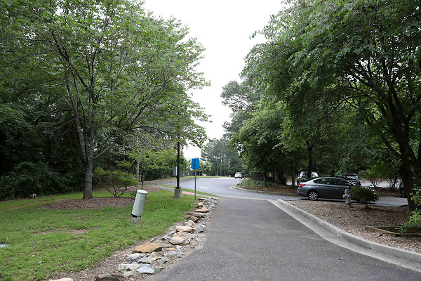 McDaniel Farm Park 0002