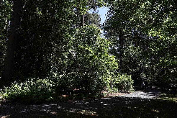 Little Nancy Creek Park 0013