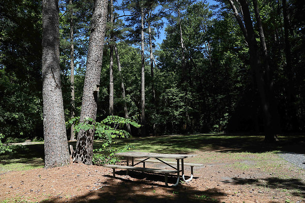 Little Nancy Creek Park 0015