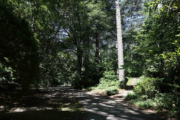 Little Nancy Creek Park 0016