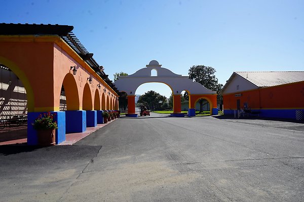 sonomafairsantarosa - 11