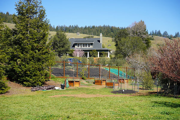 wildirissangeronimo - 62