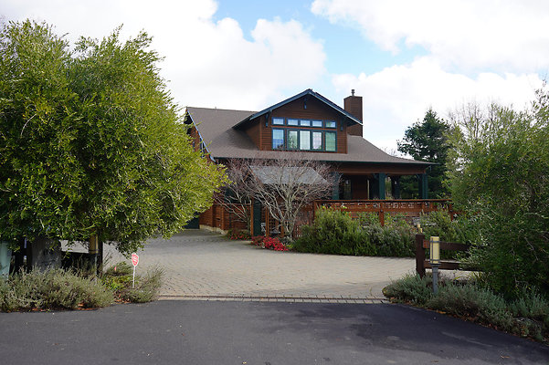 wildirissangeronimo - 2