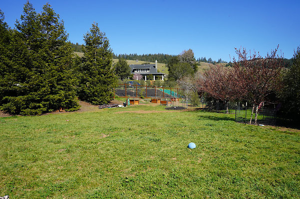 wildirissangeronimo - 61