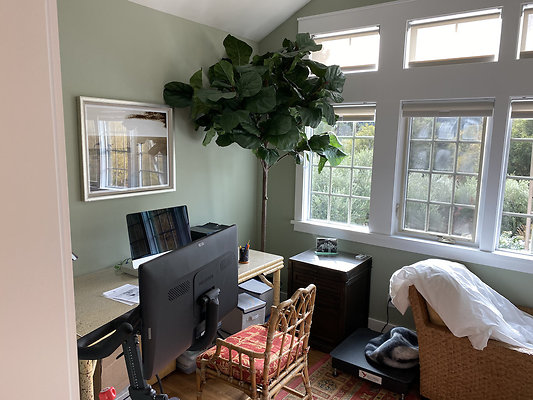 wildirissangeronimo - 45