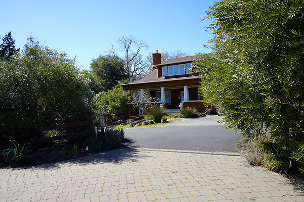 wildirissangeronimo - 1