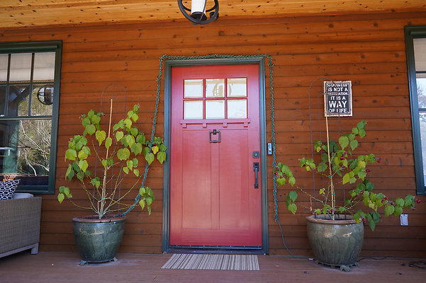 wildirissangeronimo - 9