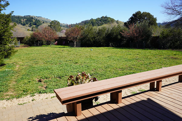 wildirissangeronimo - 59