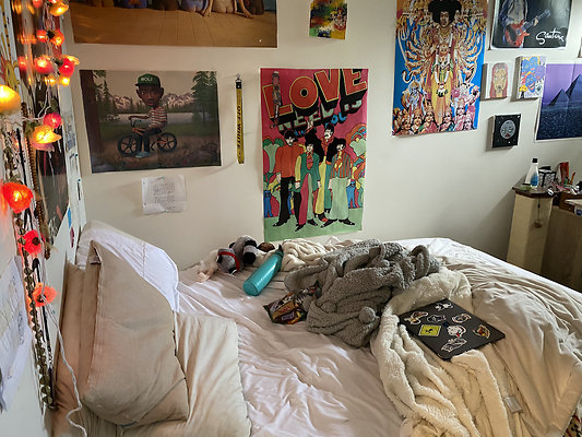 wildirissangeronimo - 46