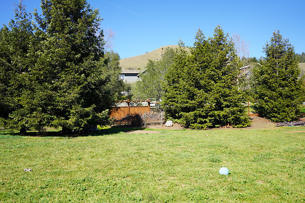 wildirissangeronimo - 60