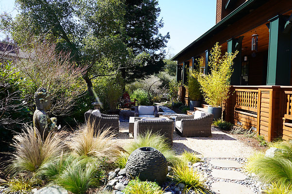 wildirissangeronimo - 54