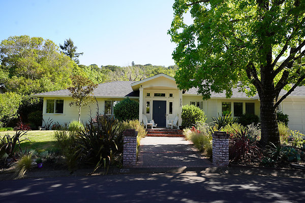 vanwinklesleepyhollow - 2