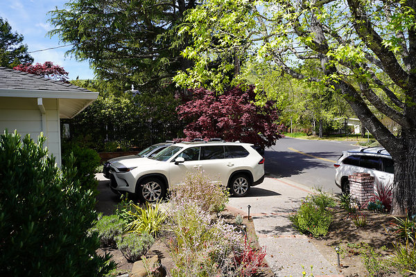 vanwinklesleepyhollow - 11