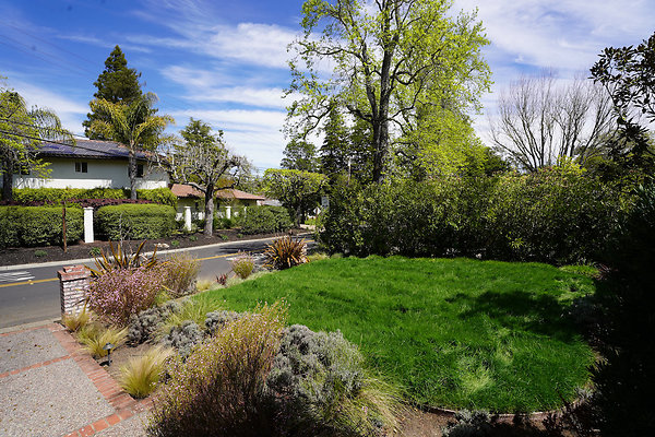 vanwinklesleepyhollow - 12