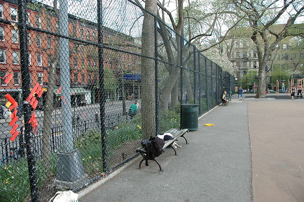 DSC 0785