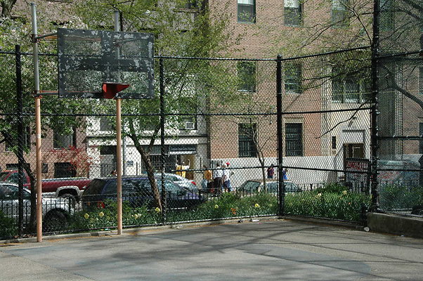 DSC 0801