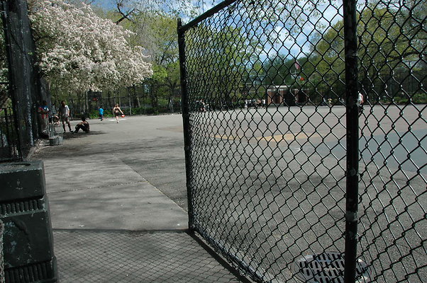 DSC 0747